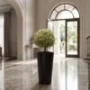 Dwarf Coral Tree styled in an interior — Neon Jungle Studios