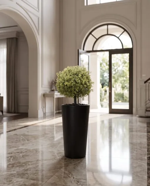 Dwarf Coral Tree styled in an interior — Neon Jungle Studios