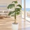 Fan Palm 160 cm styled in an interior — Neon Jungle Studios