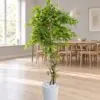 Ficus Benjamina 170 cm Fiber trunk styled in an interior — Neon Jungle Studios