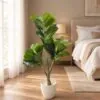 Ficus Lyrata 100 cm styled in an interior — Neon Jungle Studios