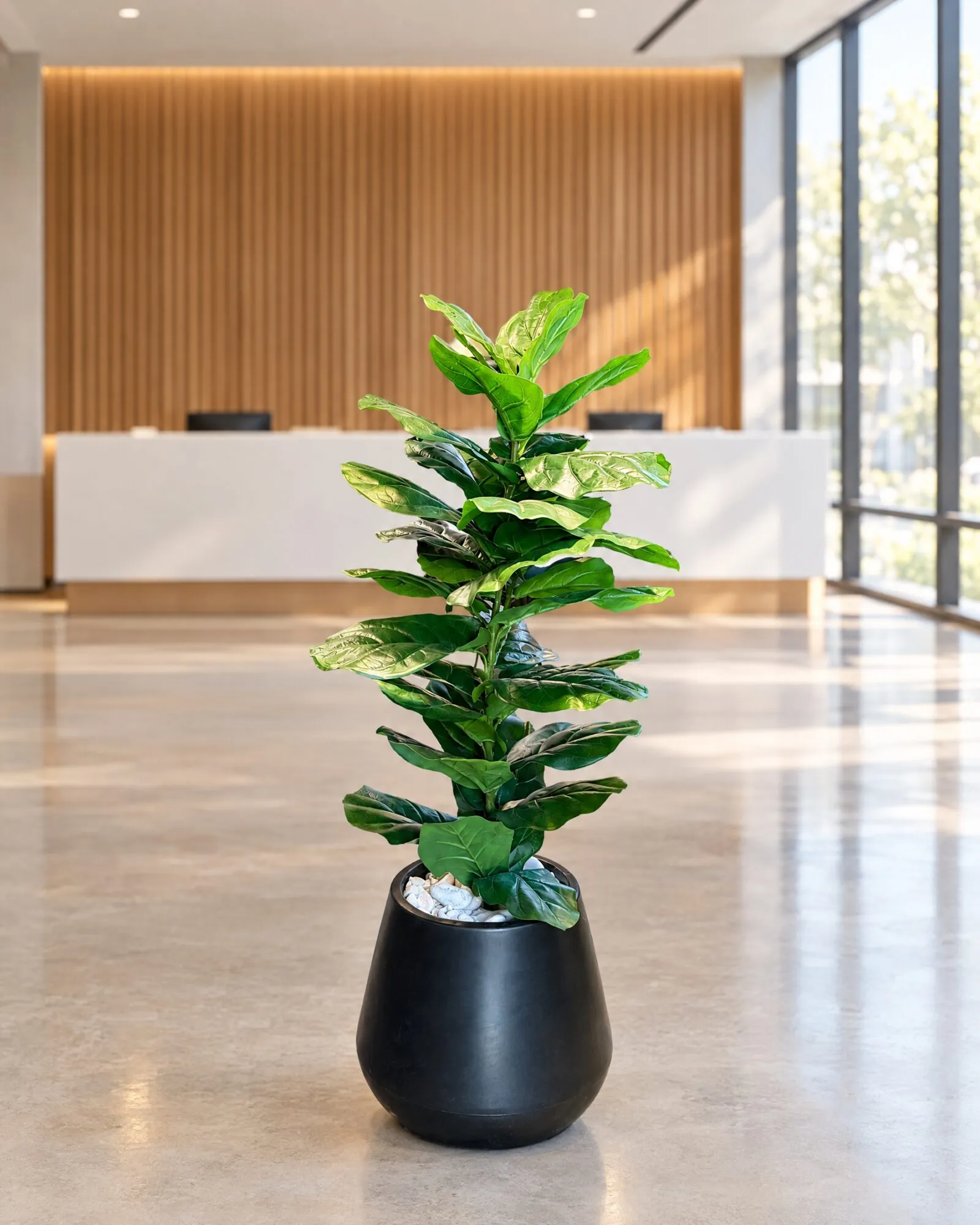 Ficus Lyrata 110 cm styled in an interior — Neon Jungle Studios