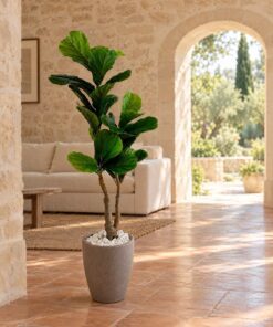 Ficus Lyrata 130 cm styled in an interior — Neon Jungle Studios