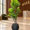 Ficus Lyrata 160 cm styled in an interior — Neon Jungle Studios