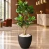 Ficus Lyrata Tree 120 cm styled in an interior — Neon Jungle Studios