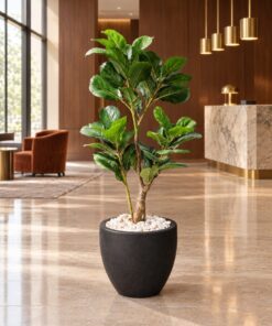 Ficus Lyrata Tree 120 cm styled in an interior — Neon Jungle Studios