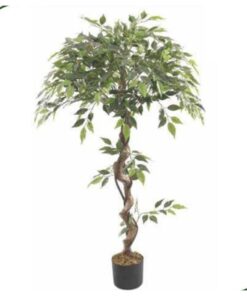 Ficus Tree 120 cm – twisted trunk – Neon Jungle Studios