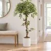 Ficus Tree 120 cm – twisted trunk styled in an interior — Neon Jungle Studios