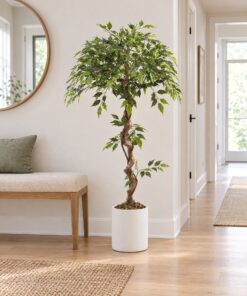Ficus Tree 120 cm – twisted trunk styled in an interior — Neon Jungle Studios