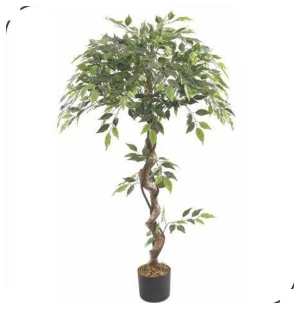 Ficus Tree 120 cm – twisted trunk – Neon Jungle Studios