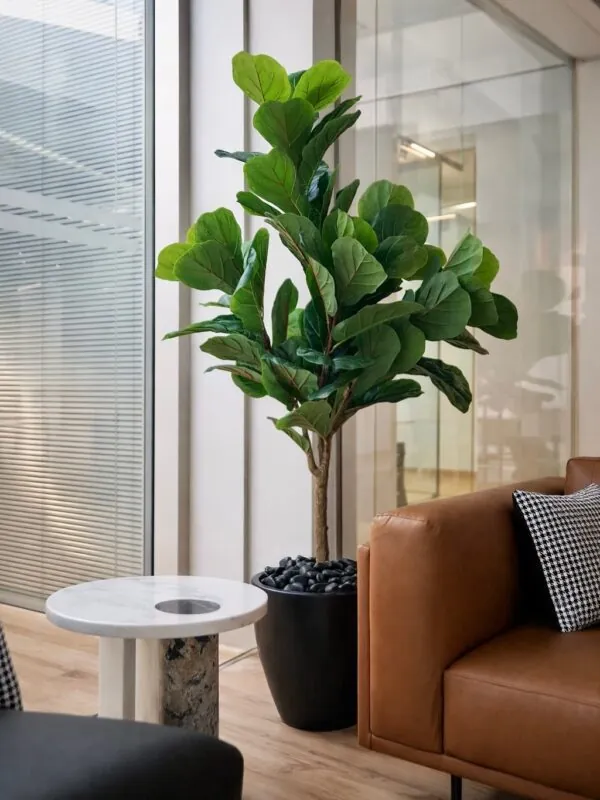 fiddle leaf fig in a black pot — living room, Lebanon — installation by Neon Jungle Studios