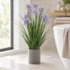 Flowering Grass 60 cm – purple styled in an interior — Neon Jungle Studios