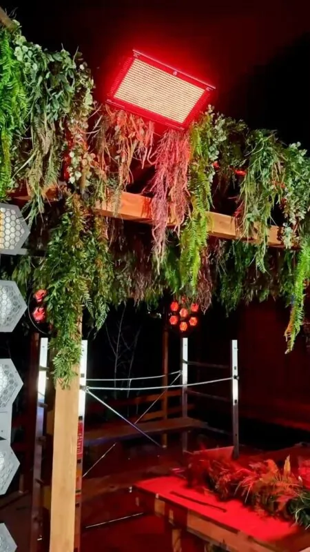 hanging tropical greenery around a DJ booth — DJ booth in a nightlife venue, Lebanon — installation by Neon Jungle Studios