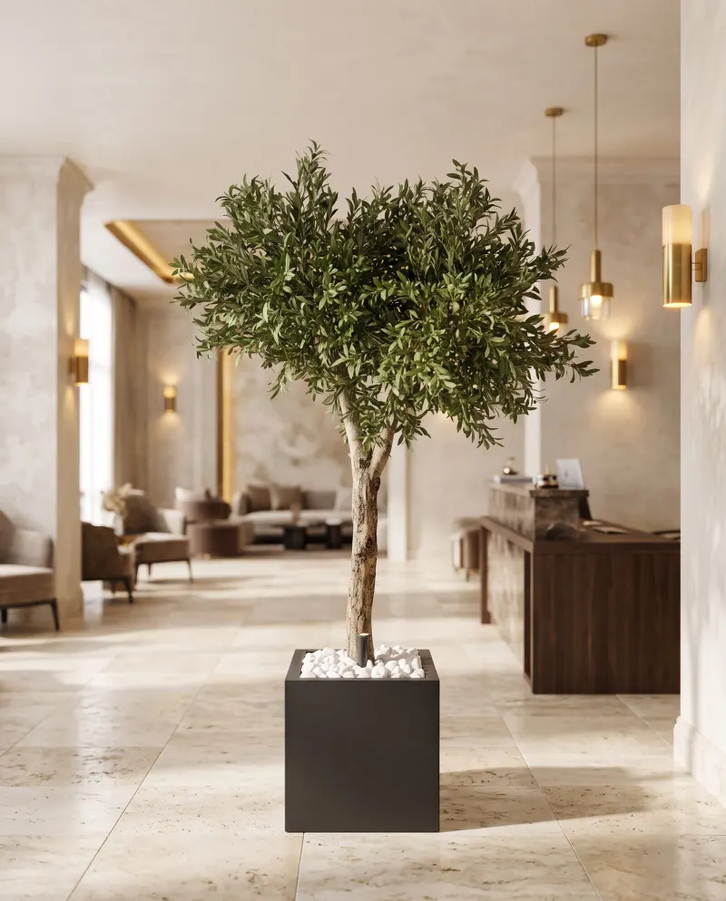 Olivier sur mesure, 210 cm, dans un salon d'hôtel — Neon Jungle Studios