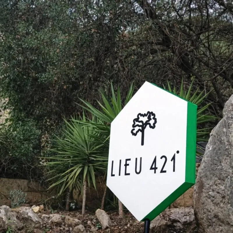 hexagonal lit sign with a tree logo — garden venue entrance, Lebanon — installation by Neon Jungle Studios