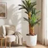 Holland Cycas 160 cm 3 Trunks - Sago styled in an interior — Neon Jungle Studios