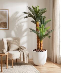 Holland Cycas 160 cm 3 Trunks - Sago styled in an interior — Neon Jungle Studios