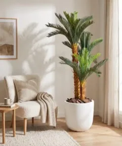 Holland Cycas 160 cm 3 Trunks - Sago styled in an interior — Neon Jungle Studios