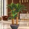 Holland Cycas Arrangement – 4 Trunks Including Planter (Sago) H160xD55 styled in an interior — Neon Jungle Studios