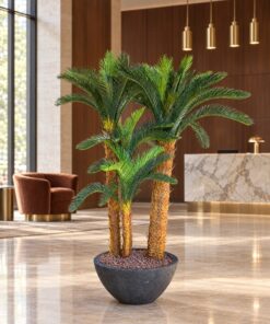 Holland Cycas Arrangement – 4 Trunks Including Planter (Sago) H160xD55 styled in an interior — Neon Jungle Studios