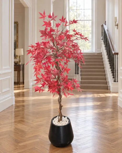 Japanese Maple Tree 150 cm styled in an interior — Neon Jungle Studios
