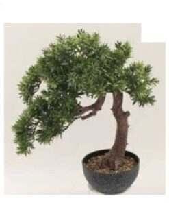 Leafy Cascade Bonsai 64 cm – Neon Jungle Studios