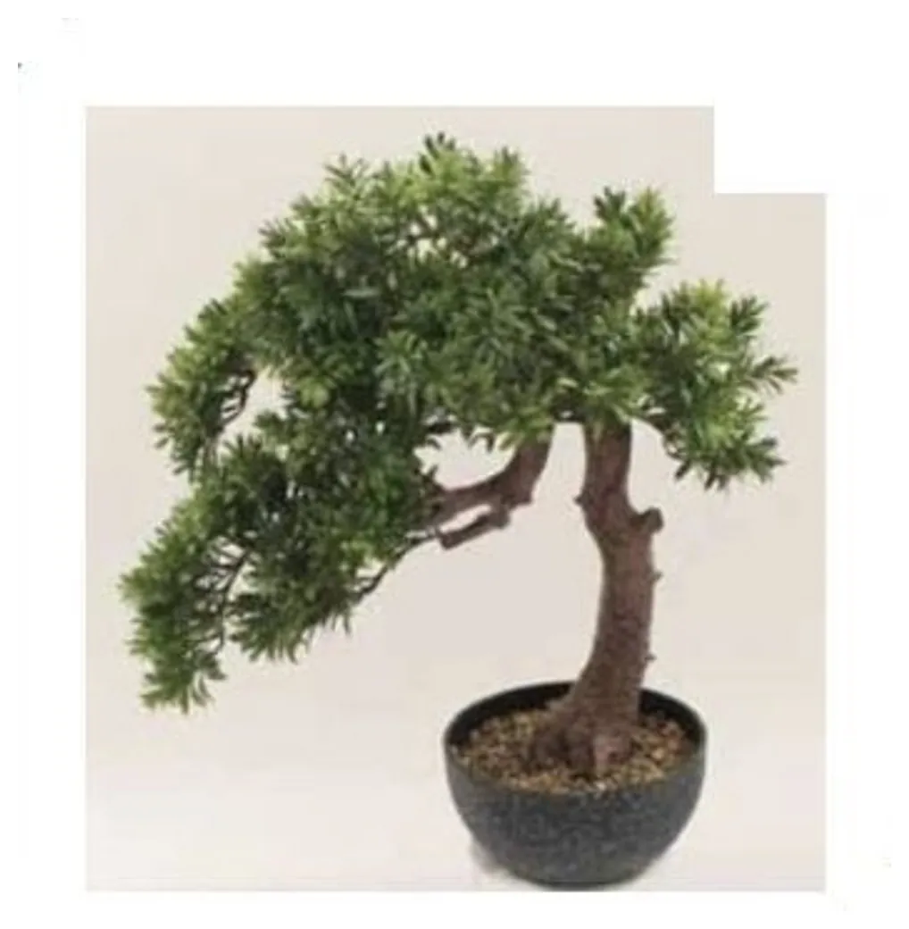 Leafy Cascade Bonsai 64 cm – Neon Jungle Studios