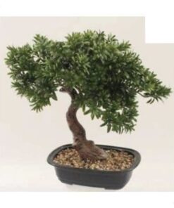Leafy Pine Bonsai 45 cm – Neon Jungle Studios