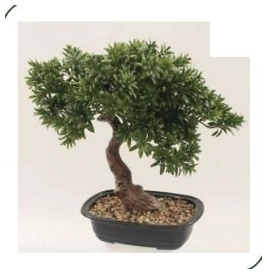 Leafy Pine Bonsai 45 cm – Neon Jungle Studios