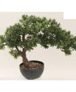 Leafy Pine Bonsai 50 cm – Neon Jungle Studios