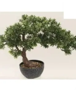 Leafy Pine Bonsai 50 cm – Neon Jungle Studios