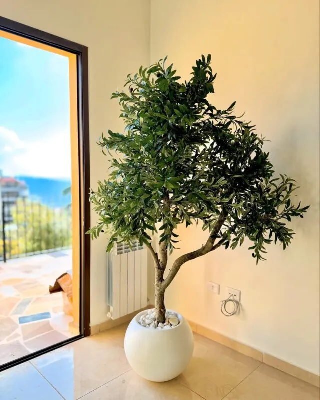 leafy tree in a white ball pot — home by a terrace door, Lebanon — installation by Neon Jungle Studios