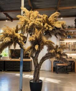 Pampas Tree, brown plumes – view 3