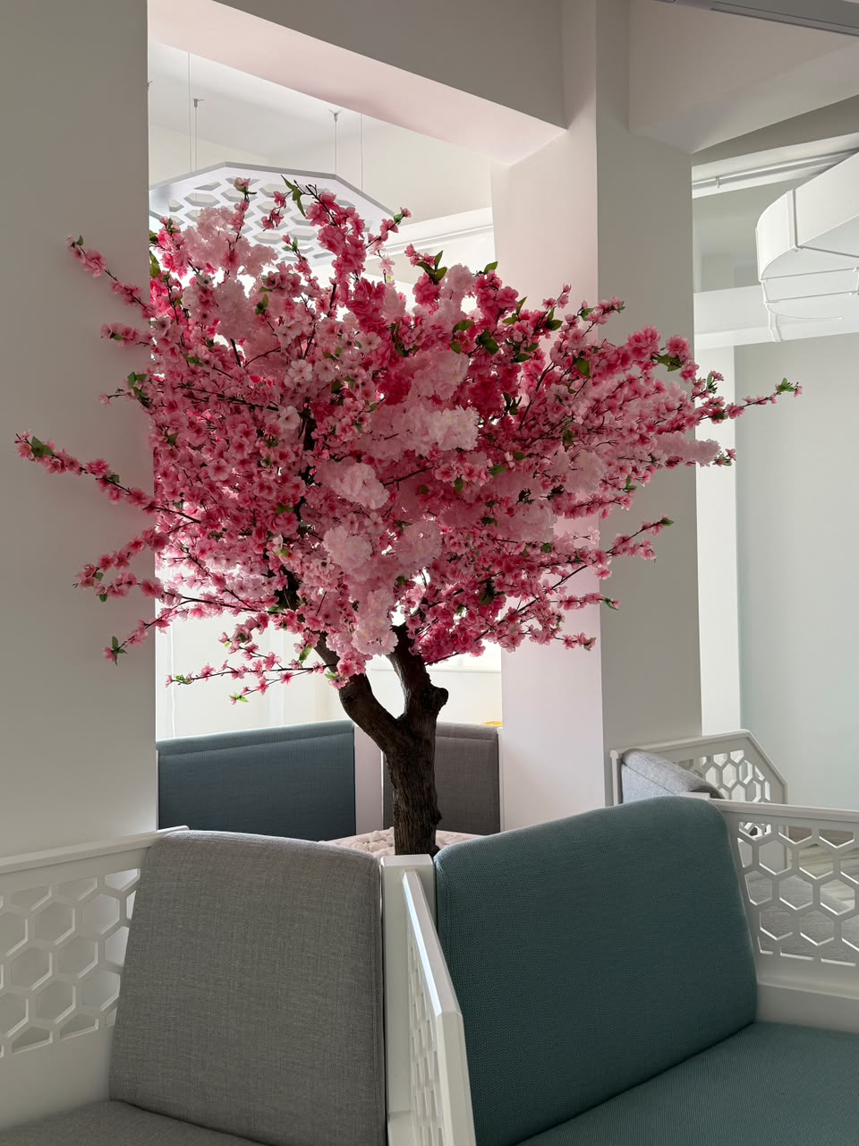 Cherry Blossom, deep pink, for an office – view 4