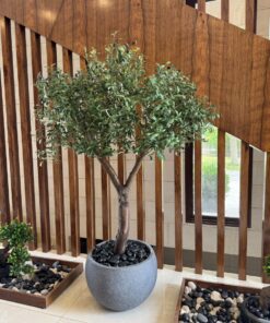 Olive Tree in a grey round planter, wood slats – view 2