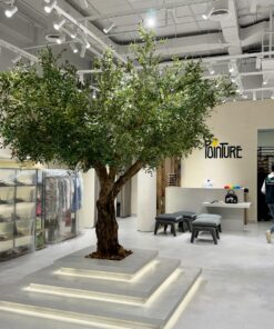 Grand Olive Tree on a lit plinth