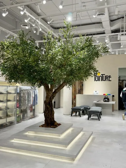 Grand Olive Tree on a lit plinth