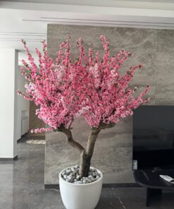 Cherry Blossom in a white round planter, office