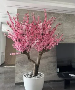 Cherry Blossom in a white round planter, office – view 2