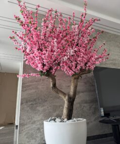 Cherry Blossom in a white round planter, office – view 3