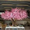 Grand Cherry Blossom on a planter-table