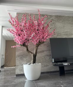 Cherry Blossom in a white round planter, office – view 4