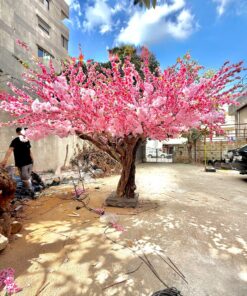Grand Cherry Blossom Tree, outdoor – view 2