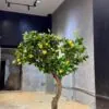 Lemon Tree on a real trunk
