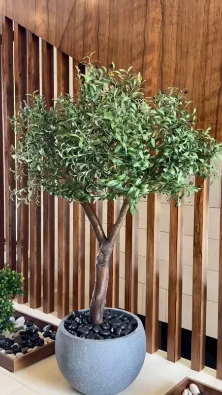olive bonsai on a real wood trunk — home beside a slatted wall, Lebanon — installation by Neon Jungle Studios