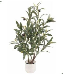 Olive Plant 60 cm – Neon Jungle Studios