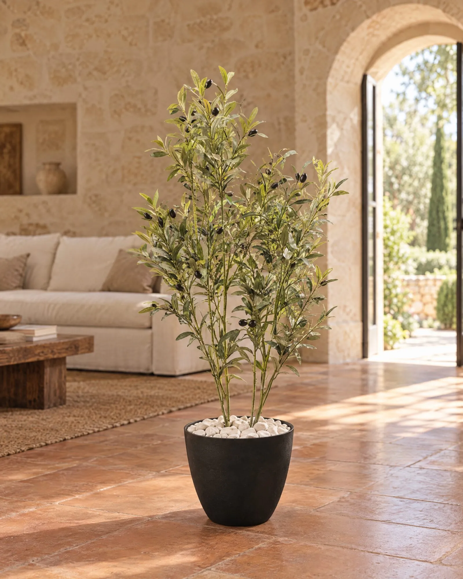 Olive Plant with pot styled in an interior — Neon Jungle Studios