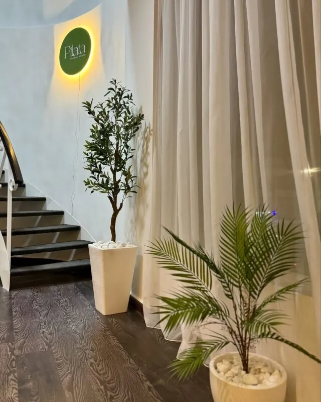 olive tree and palm in white pots — pilates studio, Lebanon — installation by Neon Jungle Studios