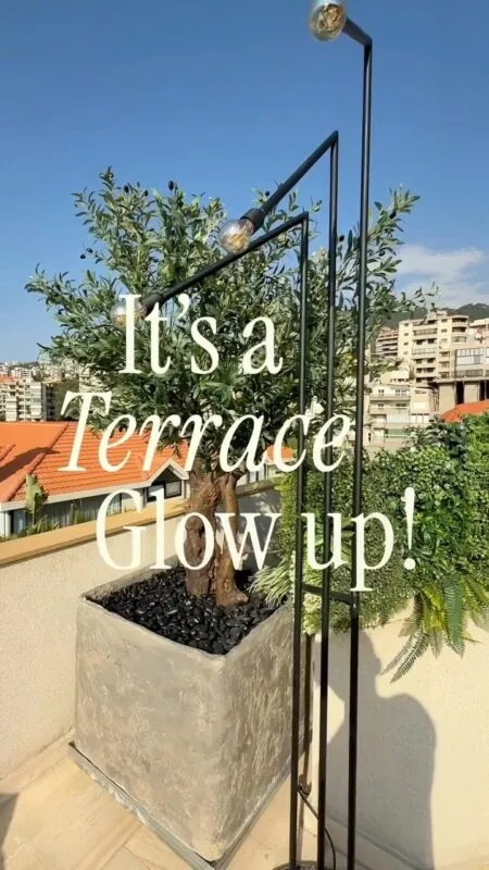 olive tree in a grey concrete planter — terrace with a mountain view, Lebanon — installation by Neon Jungle Studios