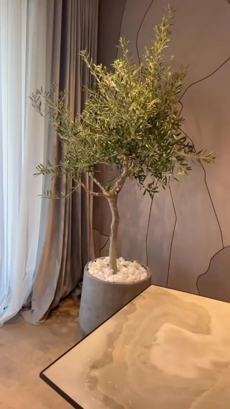 olive tree in a grey pot — home with a sculpted wall, Lebanon — installation by Neon Jungle Studios